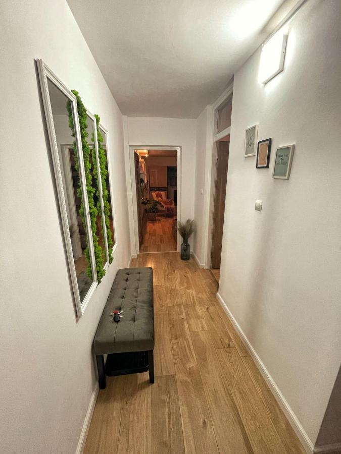 Magnolia Stay Bistrita  Exterior photo